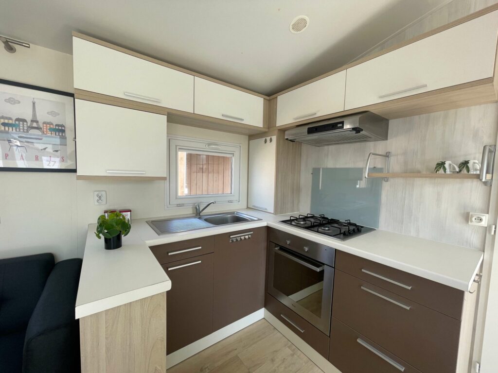 Louisane Flores 3CH – Image 4